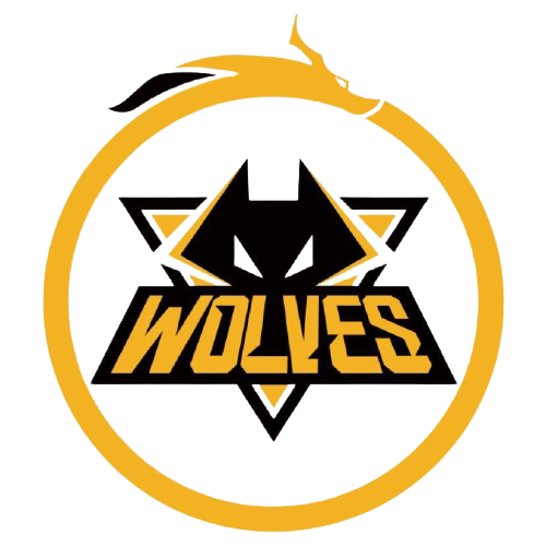 综合来看 综合来看